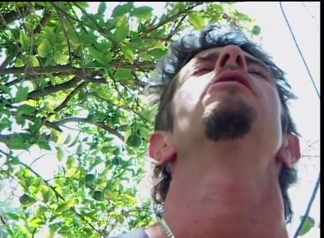 American Idol X: Hairy pussy licking fucking fingering in the garden