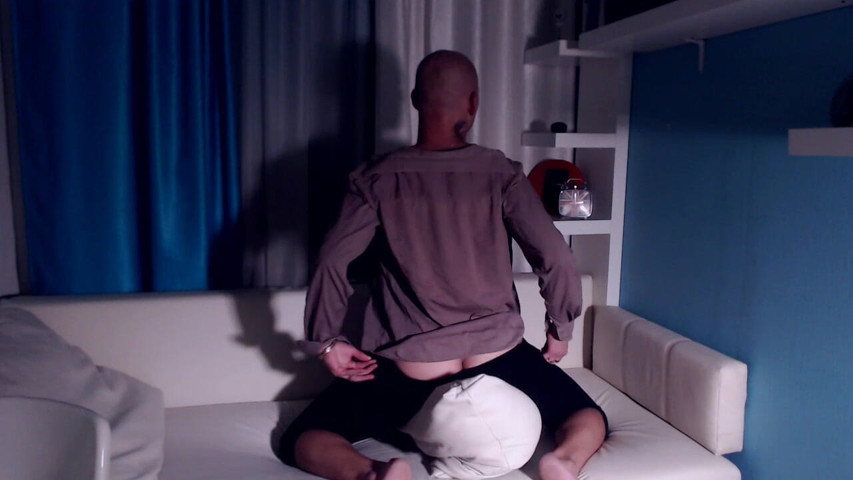 Shadows Pillow and My Ass (Hairyverspig)