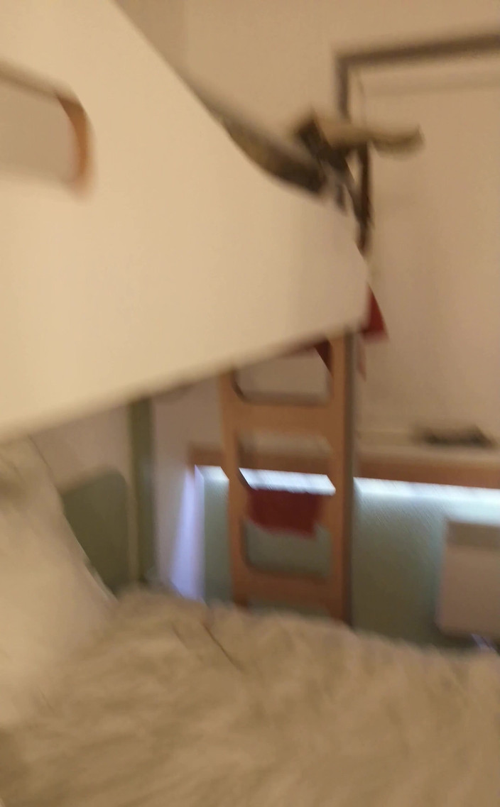 Amadeus: Solo te muestro mi habitación y luego vas a París...