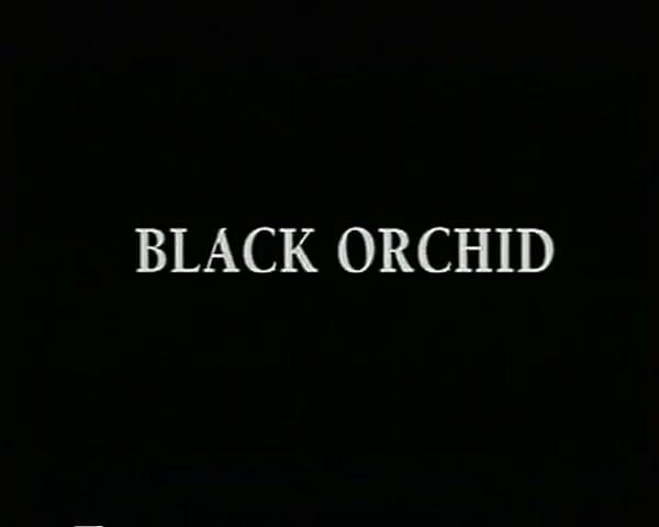 GERMAN PORN CLASSICS: Orchidée noire