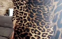 Sexy luipaard