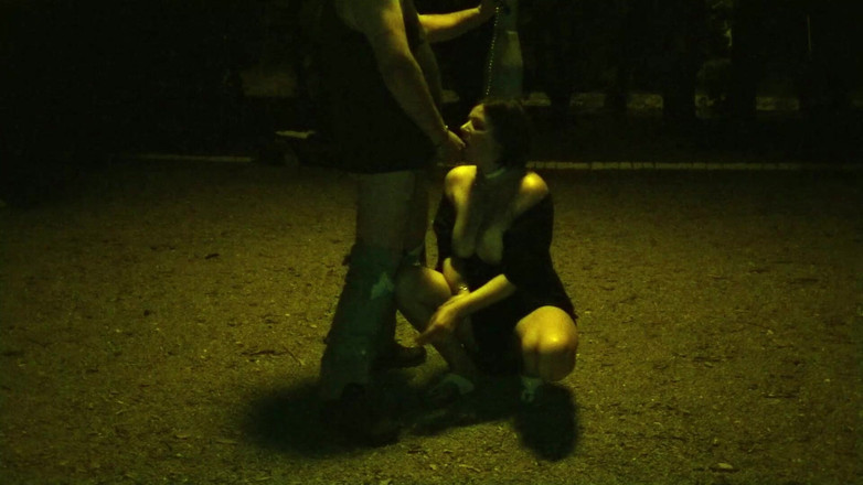 Toilet Mommy: Beautiful Whore Sucking My Dick in the Park