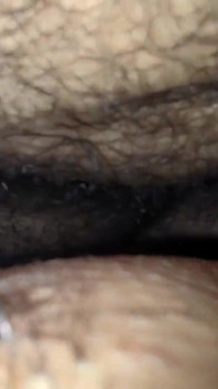 Seks Misionaris Tante Seksi Arab Mesir