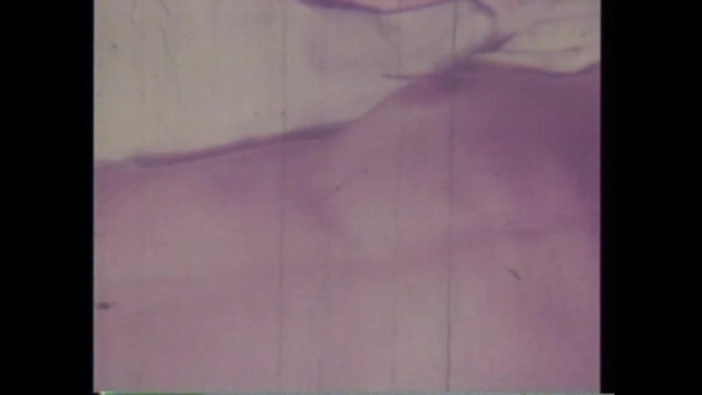 Vintage Usa: Bylo nebylo v Americe XXX - (sv. #06)