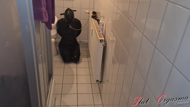 Slut Orgasma Celeste: Slave Slut-Orgasma Celeste the human toilet