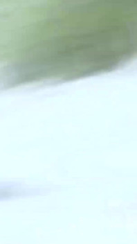 Sexy khỏa thân tóc nâu ngực trần trên bãi biển