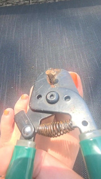 A Magical Star Using My Flexible Toes;)