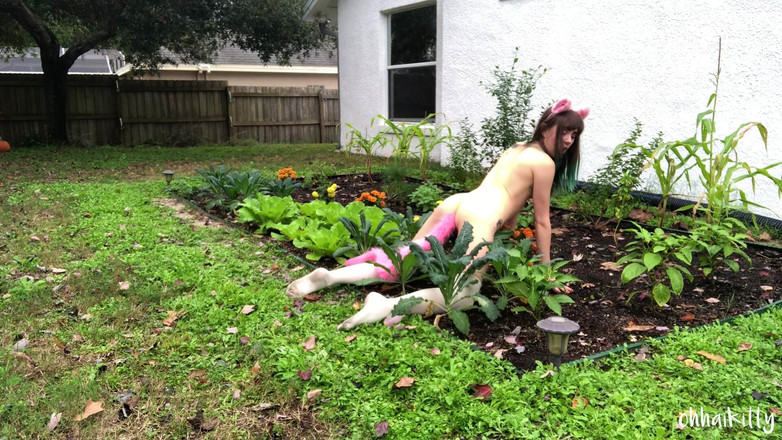 kactus kutie: Kitty Kums i Kale