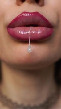 Drool Collector