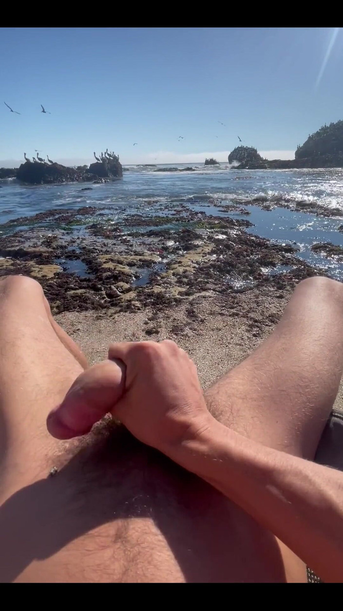 Joe Iandola: ビーチマスターベーション