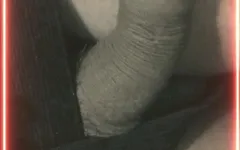 Big Cock