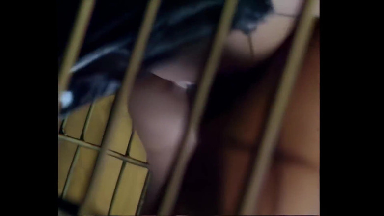 Cinema X: Venere Bianca Fucked in Cage