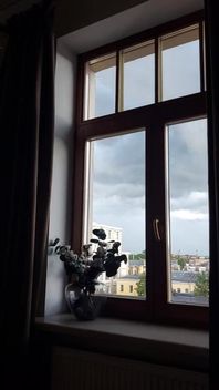 Nice Day