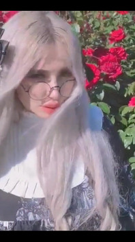 What Types of Flowers Do You Particularly Like?