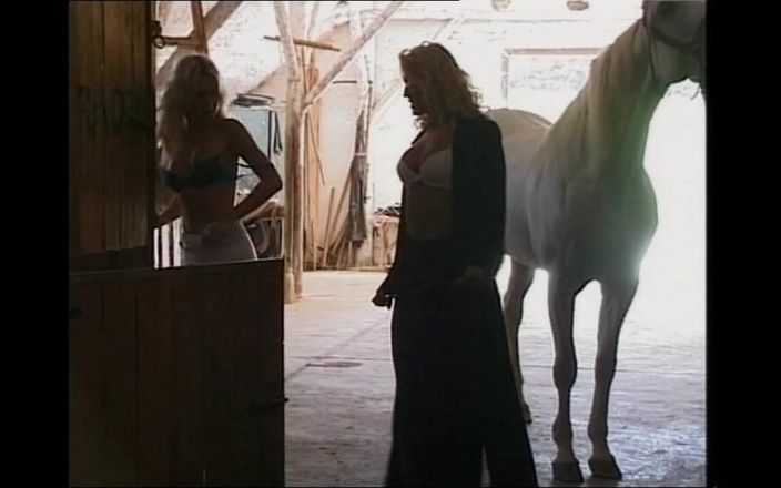 MMV films - The Original: Sürtük kızlar sert sikiliyor (tam klasik porno film)