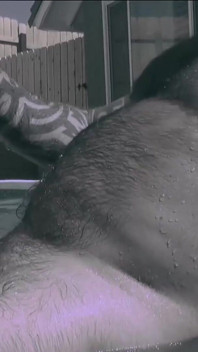 BEARFILMS Bears Marc Angelo And Wadeca Shen Cum After Anal