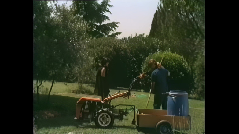 Vintage Megastore Full hd: Buitenshuis trio voor vintage neukers