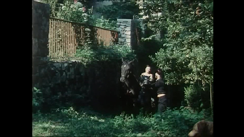 Rocco Siffredi and Friends: De Vrais Maîtres De Coq