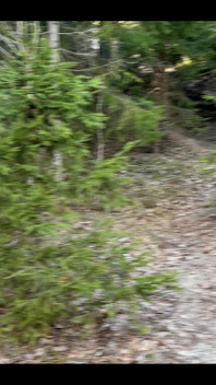 The Sound of Water, Drops Splashing