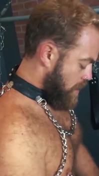 BEARFILMS - Hairy bears Kosher Pig and Topher Michels bareback