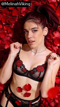 Absolute Beauty