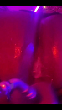 Fall/halloween Bundle