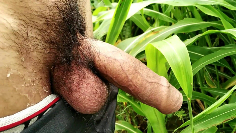 Desimast7: Ngocok kontol dan crot di rumput di luar ruangan