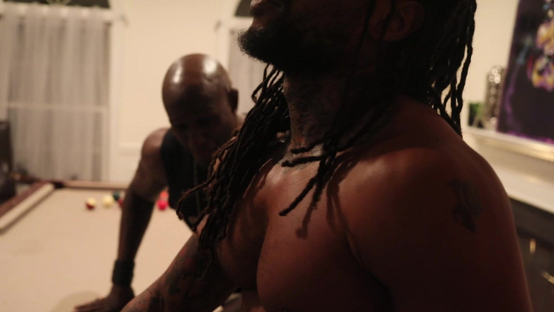 Sheemthedream: Zion Dreams