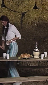 Landliebe - Dvd