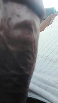 Mi tierra gorda