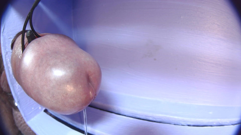 Gaylectrician: E-stim cumshot 21-11-22