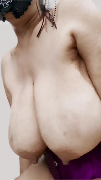 Hucow thỏ vắt sữa và nảy udders