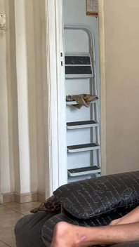 Hodně stříkám do jeho hladkého dokonalého zadku