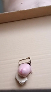 Homemade Gloryhole