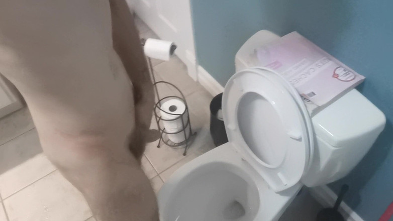 NeatGame458: 私は小便をして、一晩中公衆トイレに行く準備をします。すでに味わって、とても興奮しています