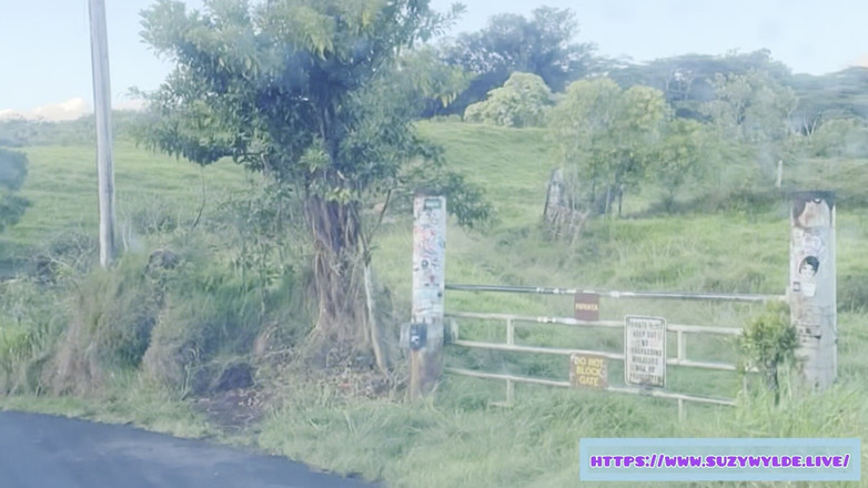 Suzy Wylde: Waimoku Falls, maui में Suzy Wylde के लिए Hana की Sfw रोड ट्रिप