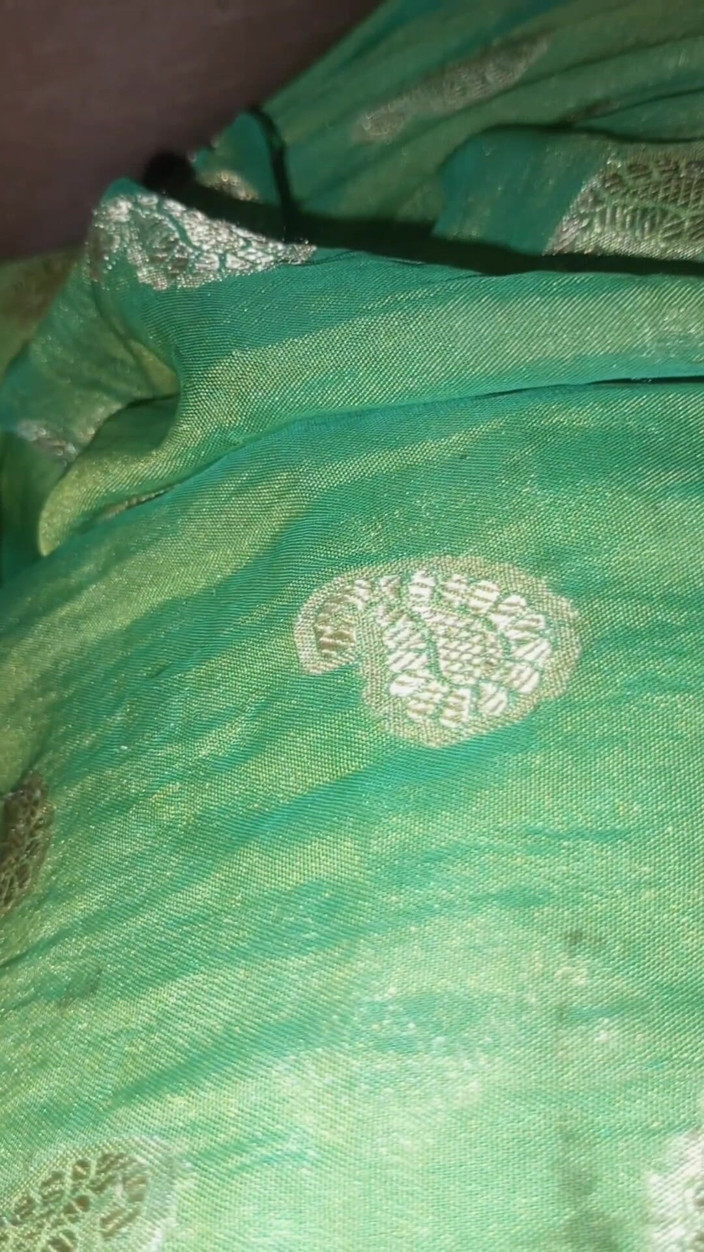YangZi 69: Meu marido adora me foder em sari verde