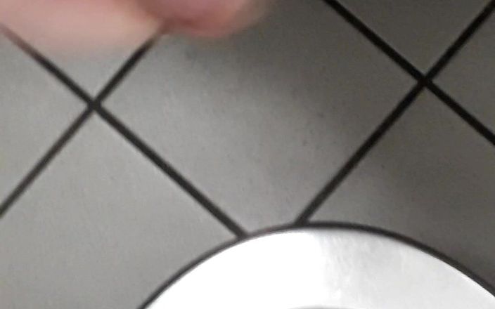 The Bavarian one: Playing with cock in a public toilet