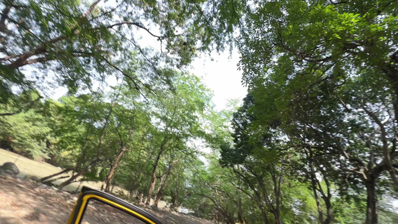 Duoafroditas: 我帮胖拉丁裔在荒郊野外肆虐，换取她车里的激烈性爱。