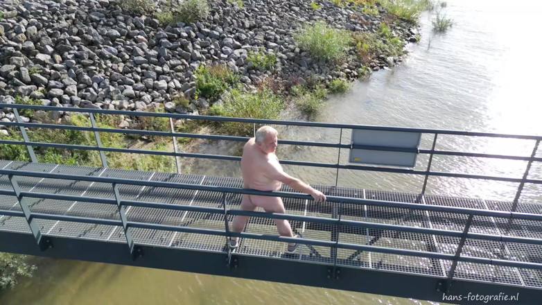 Volador XS: Představení Voladorxů
