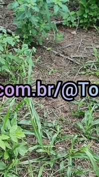 Kátia Heffner Aventuras