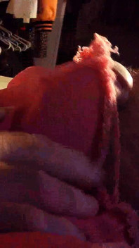 Intrusive close up pink cock.wmv