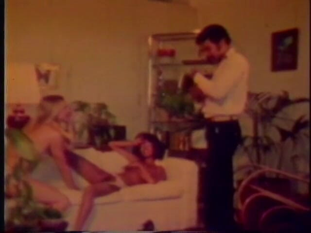 Vintage Usa: The History of Porn - vol. 50  -  (Vintage XXX Tales)