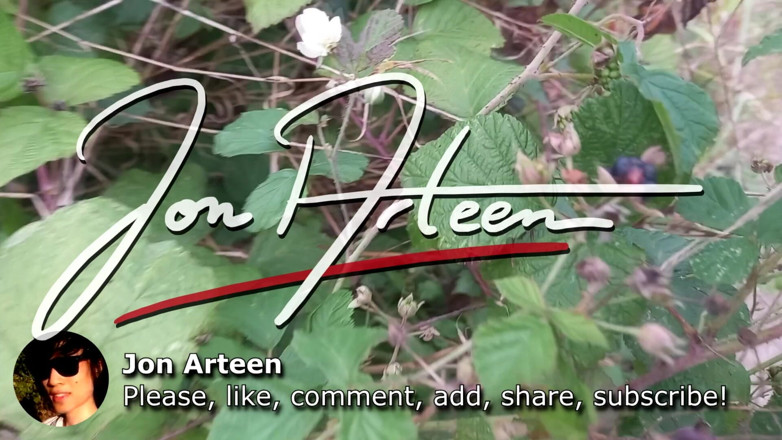Jon Arteen: Gay Asian Twink