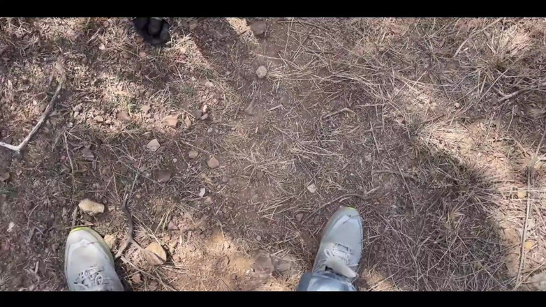 Indian Senu: Индийская мусульманская девушка дези изменяет бойфренд и грубый секс с деревенским пареньком в джунглях на улице - хинди аудио
