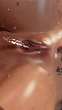 Rigid3d สาวหีอวบโดนทำลายรูตูด - หีแตกน้ำโชก อยากกินน้ำว่า รูอ้าโหดๆ