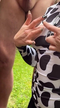 Biarkan lembu susu mengerang