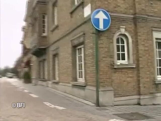 Dutch Desire Nights: DVD Najlepsze z eddy szminki