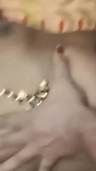 Děvka manželka křičí jak bradavky mučení a velký zadek bušený v Doggy Paroháč výměna filmů!