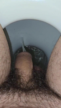 Compilation Di Maschi Che Pisciano in Bagno (9 Pisci)